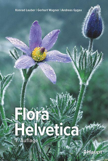 Cover: 9783258083490 | Flora Helvetica - Illustrierte Flora der Schweiz | Lauber (u. a.)