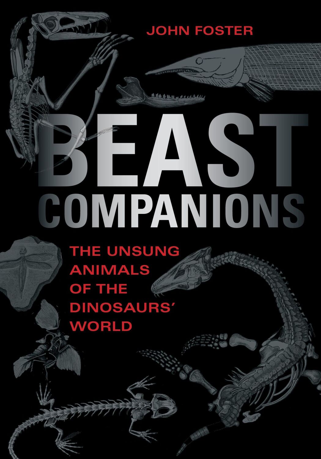 Cover: 9780253069405 | Beast Companions | The Unsung Animals of the Dinosaurs' World | Foster