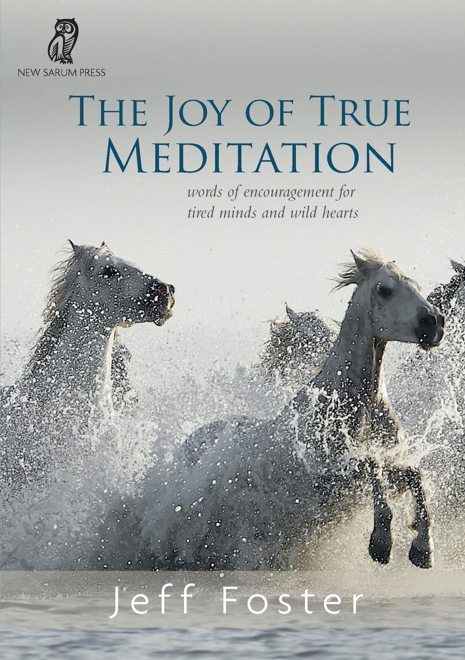 Cover: 9781999353537 | The joy of True Meditation | Jeff Foster | Taschenbuch | Englisch