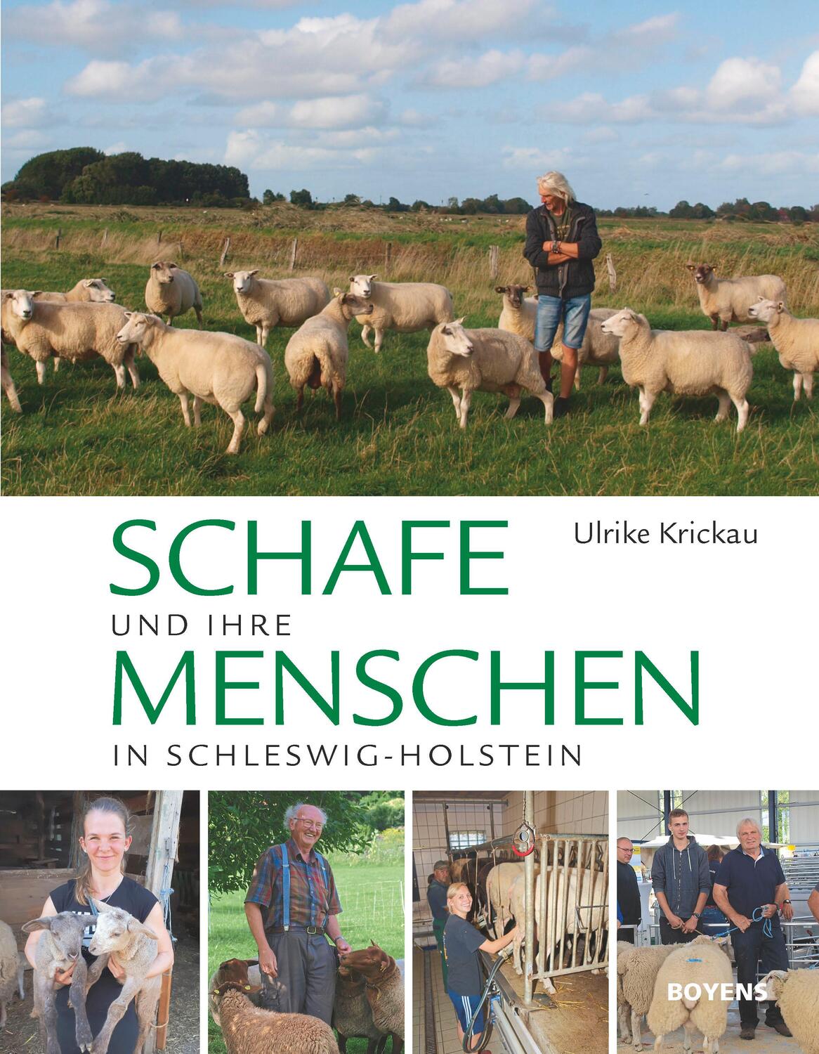 Cover: 9783804215214 | Schafe! | Und ihre Menschen in Schleswig-Holstein | Ulrike Krickau