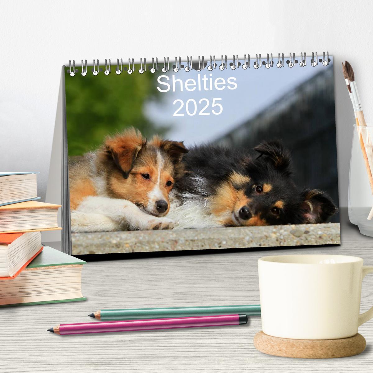 Bild: 9783435751624 | Shelties 2025 (Tischkalender 2025 DIN A5 quer), CALVENDO...