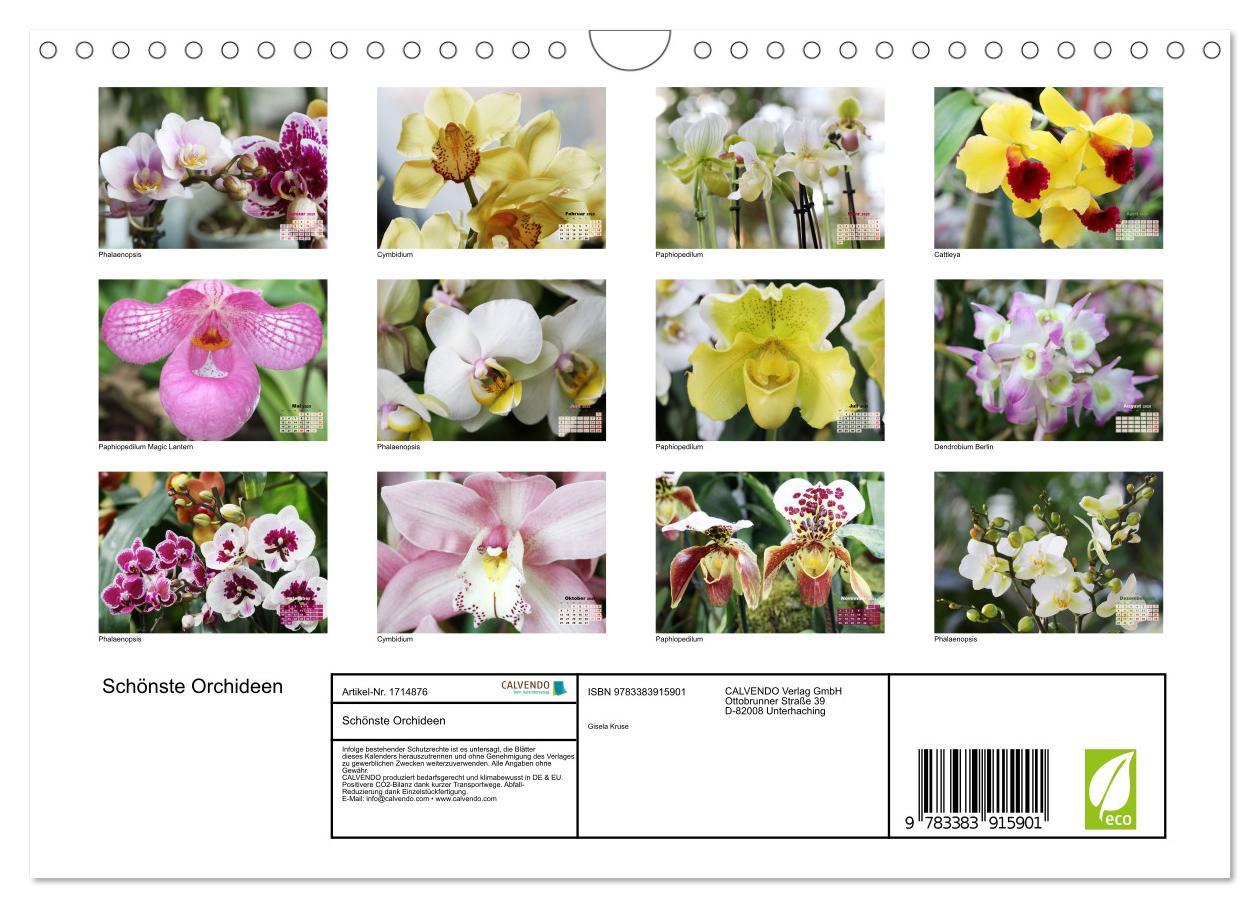 Bild: 9783383915901 | Schönste Orchideen (Wandkalender 2025 DIN A4 quer), CALVENDO...