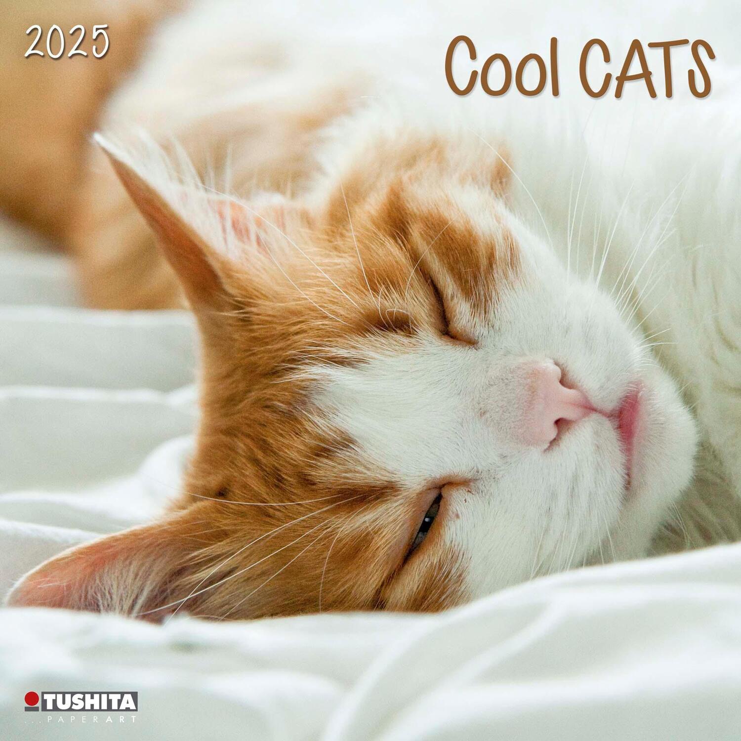 Cover: 9783959294072 | Cool Cats 2025 | Kalender 2025 | Kalender | Wonderful World | 28 S.