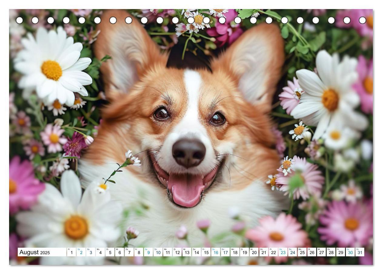 Bild: 9783383776137 | Happy Corgis (Tischkalender 2025 DIN A5 quer), CALVENDO Monatskalender