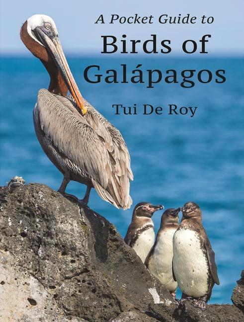 Cover: 9780691233635 | A Pocket Guide to Birds of Galapagos | Tui De Roy | Taschenbuch | 2022
