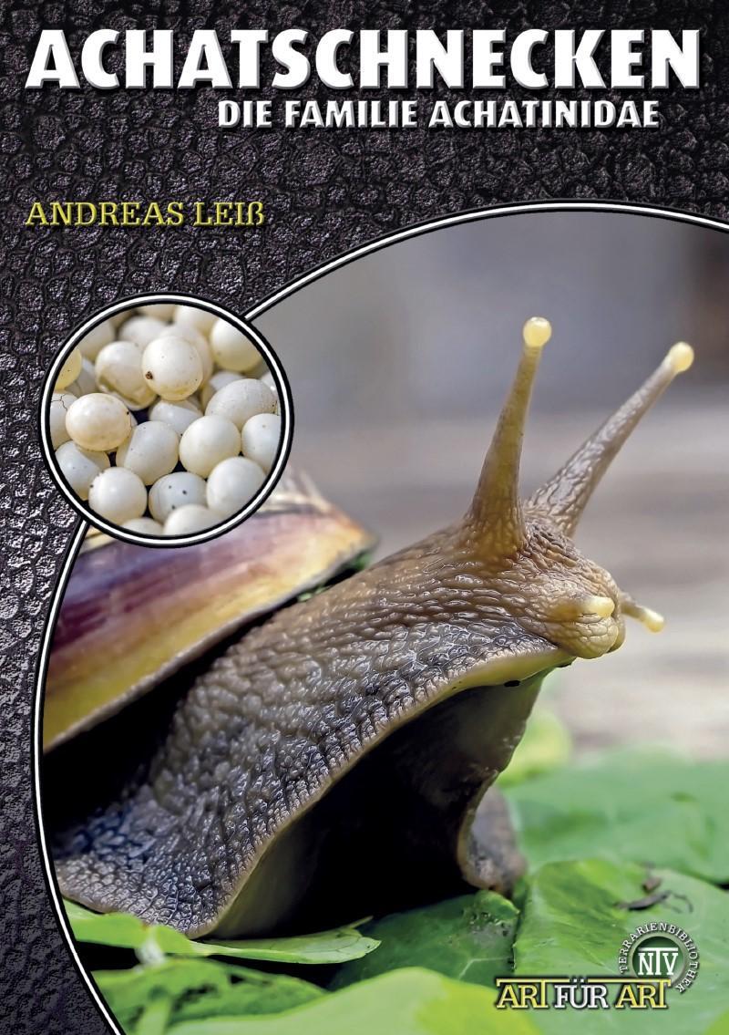Cover: 9783866594753 | Achatschnecken | Die Familie Achatinidae | Andreas Leiß | Taschenbuch