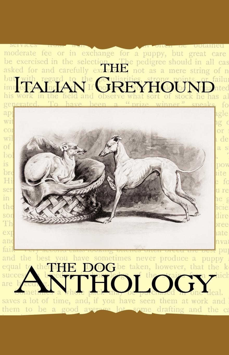 Cover: 9781408631799 | The Italian Greyhound | A Dog Anthology | Various | Taschenbuch | 2008