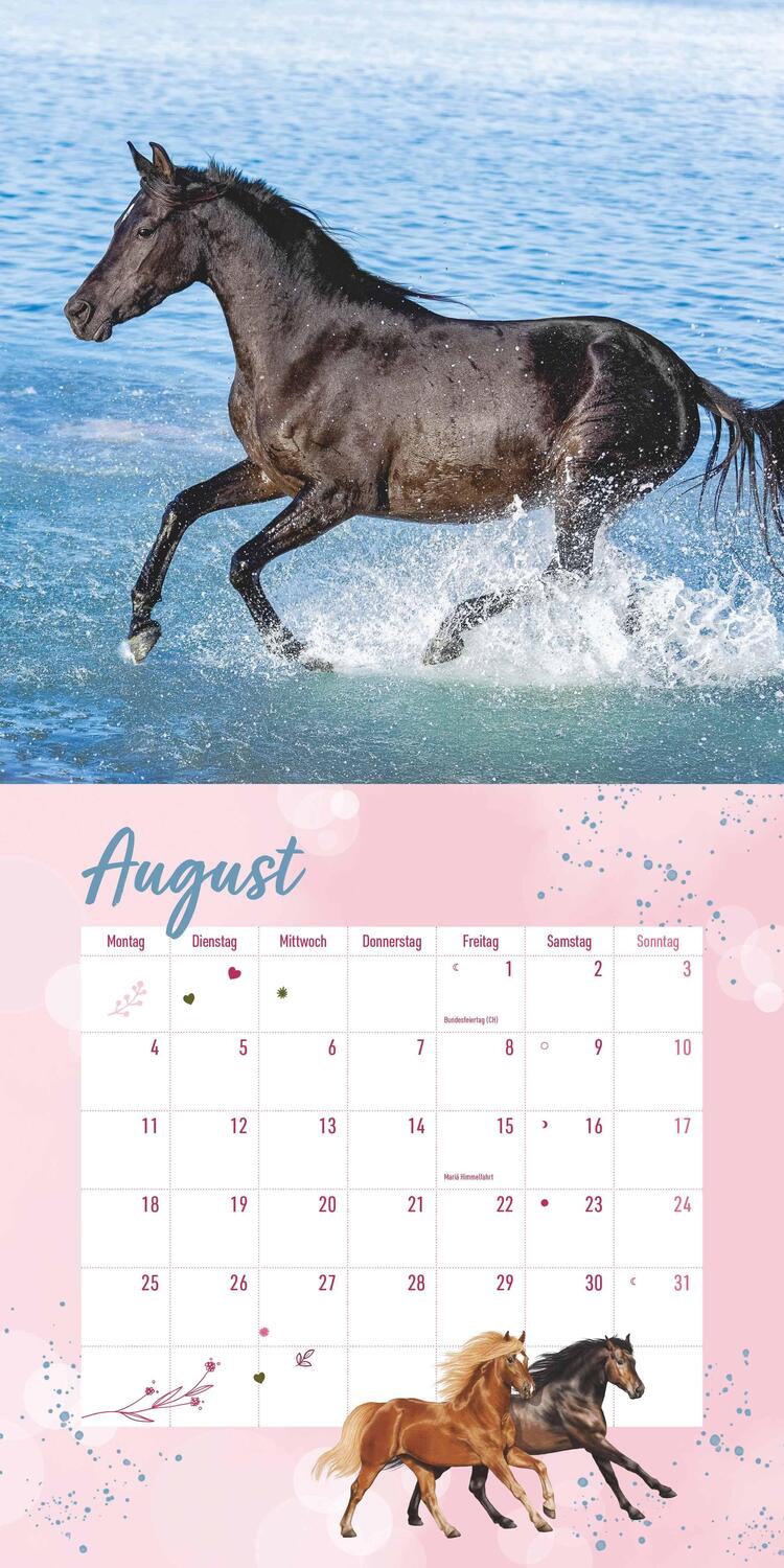 Bild: 4250809652801 | Pferdefreunde 2025 - Broschürenkalender - Kinder-Kalender - Format...