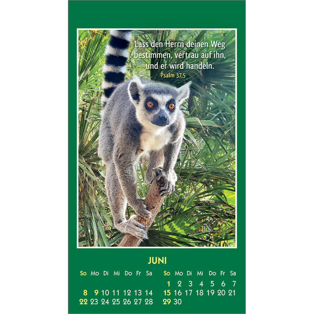 Bild: 9783754893555 | Hallo Du 2025 | Mini-Aufkleber-Kalender | Kalender | 14 S. | Deutsch