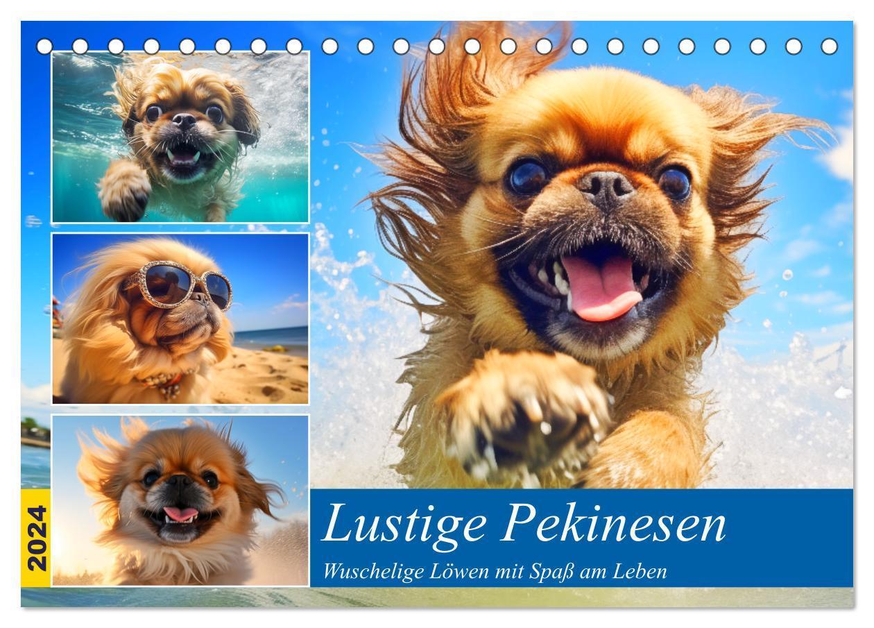 Cover: 9783383756900 | Lustige Pekinesen. Wuschelige Löwen mit Spaß am Leben...