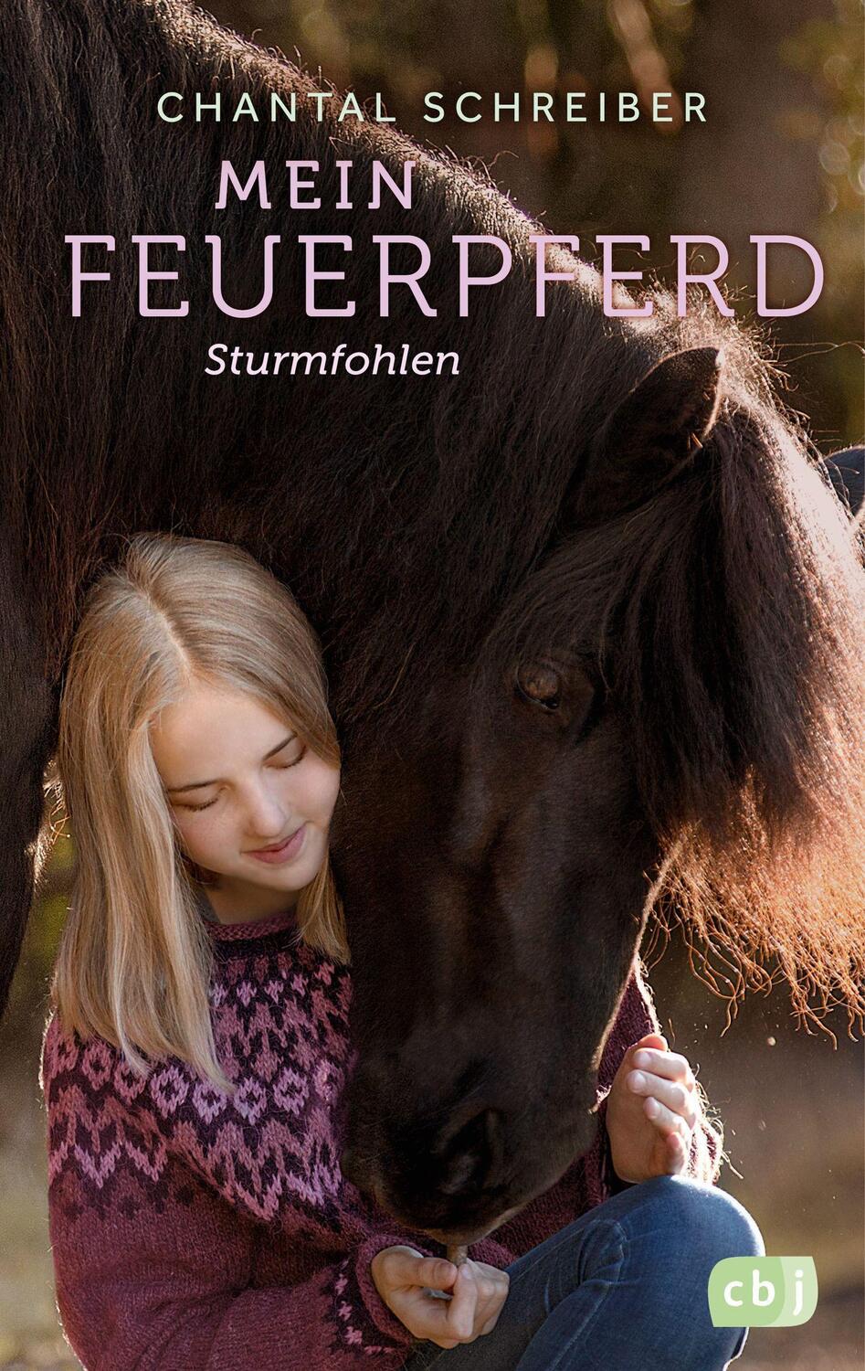 Cover: 9783570179024 | Mein Feuerpferd - Sturmfohlen | Chantal Schreiber | Buch | Deutsch
