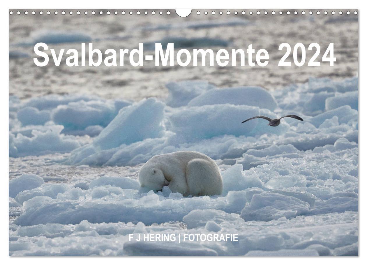 Cover: 9783383086410 | Svalbard-Momente (Wandkalender 2024 DIN A3 quer), CALVENDO...