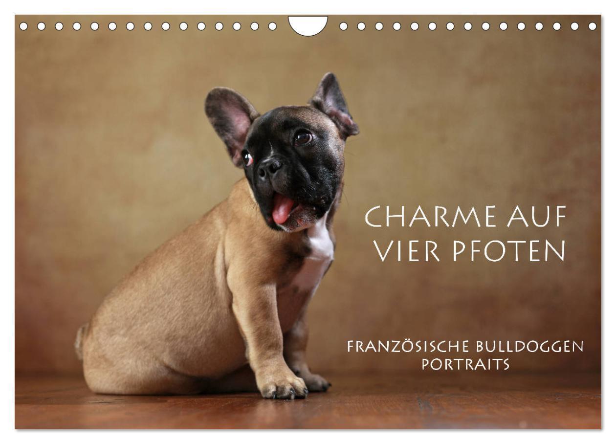 Cover: 9783675575325 | Charme auf vier Pfoten - Französische Bulldoggen Portraits...