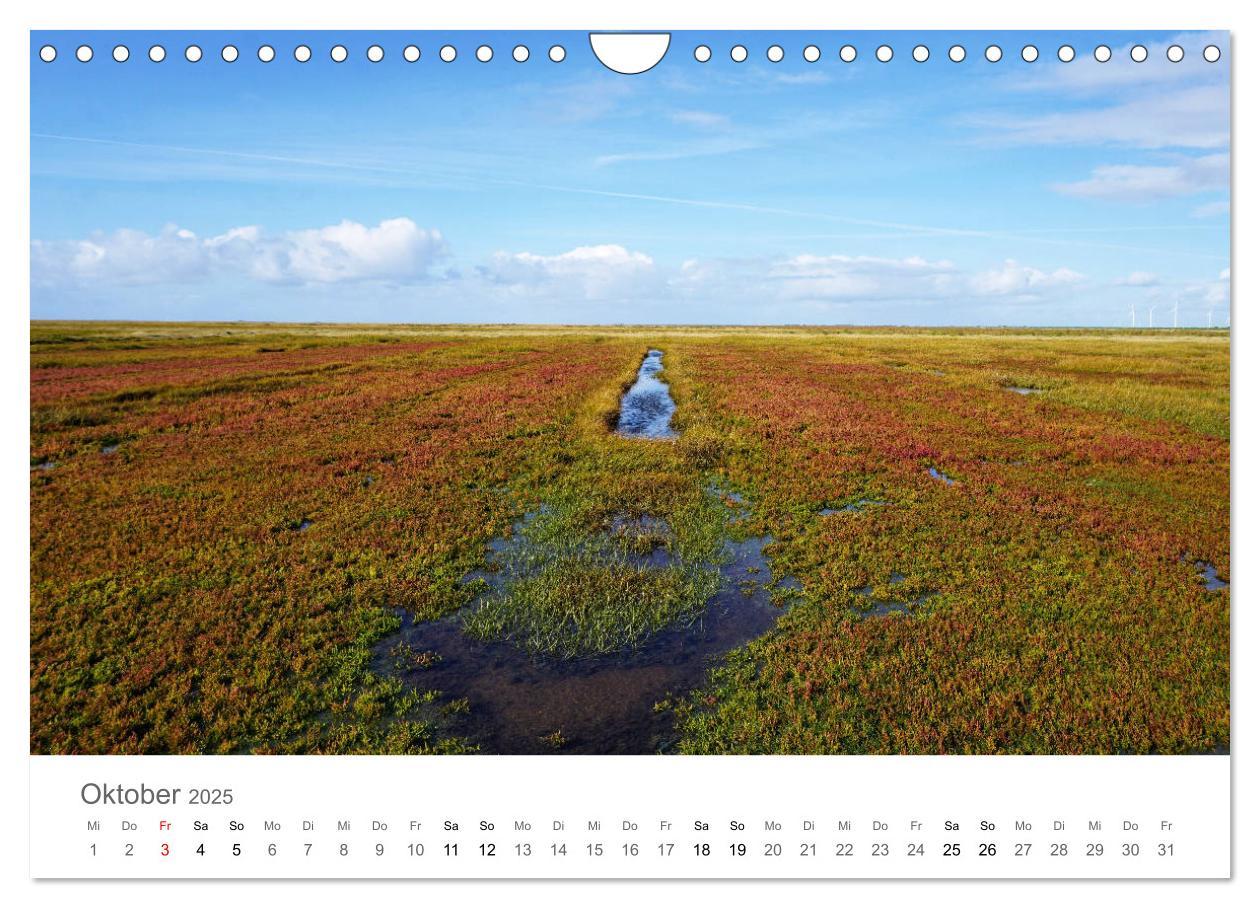 Bild: 9783435220045 | Nordfriesland (Wandkalender 2025 DIN A4 quer), CALVENDO Monatskalender