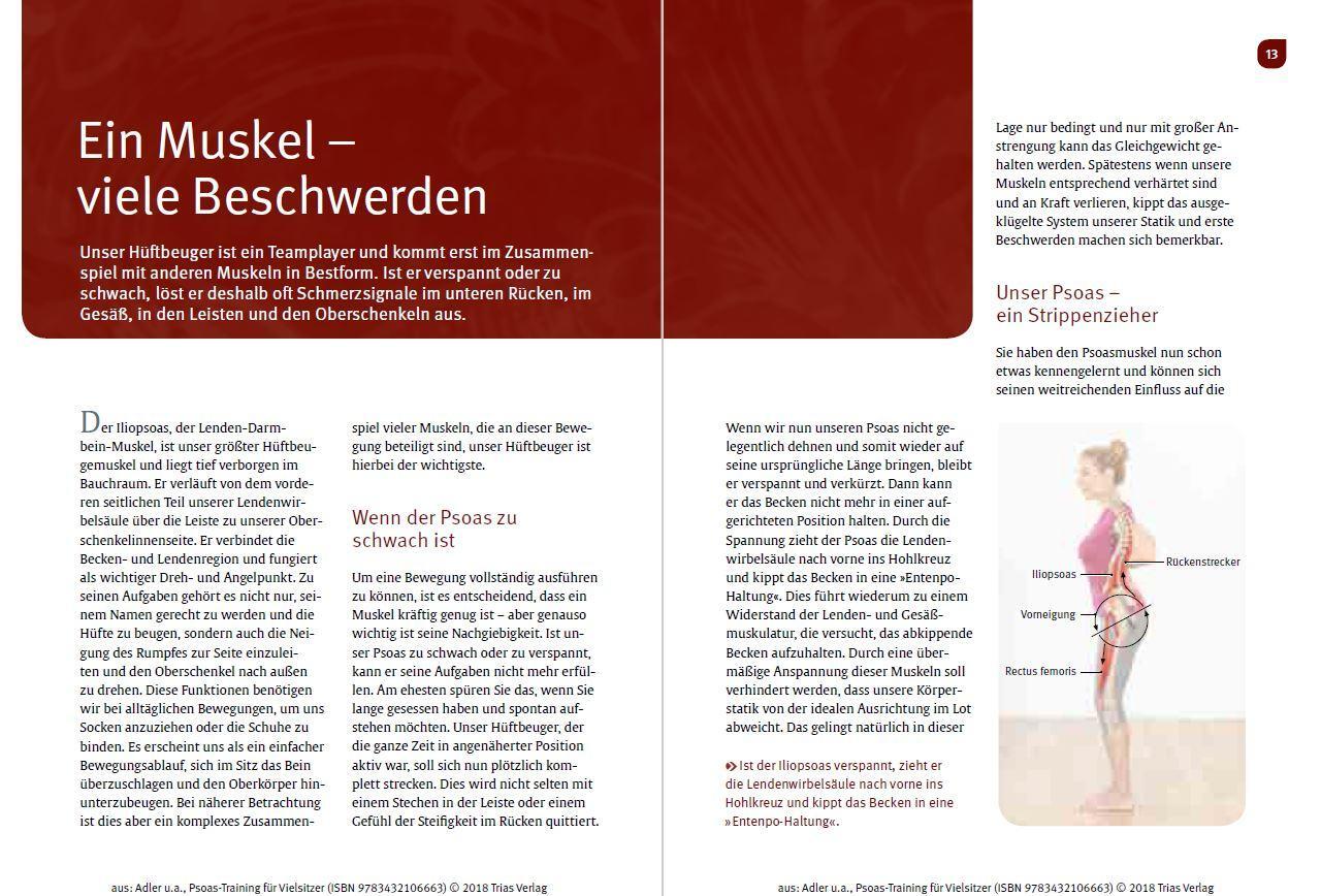 Bild: 9783432118512 | Psoas-Training für Vielsitzer | Kristin Adler (u. a.) | Taschenbuch