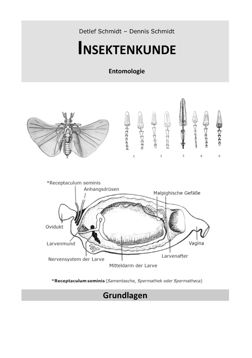 Cover: 9783741289859 | Insektenkunde | Entomologie | Detlef Schmidt | Taschenbuch