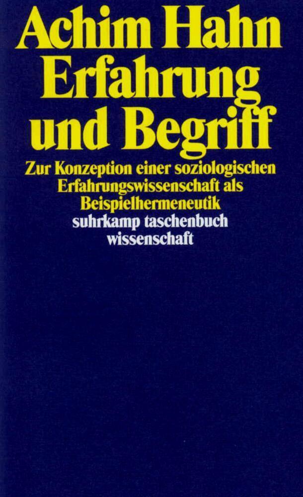 Cover: 9783518287613 | Erfahrung und Begriff | Achim Hahn | Taschenbuch | 393 S. | Deutsch