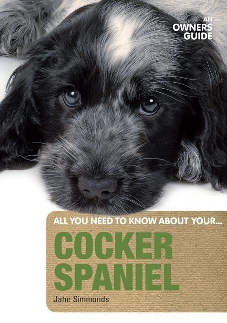 Cover: 9781906305291 | Cocker Spaniel an Owners Guide | Jane Simmonds | Taschenbuch | 2010