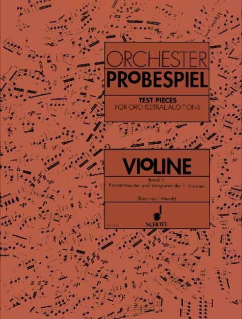 Cover: 9783795797287 | Orchester-Probespiel Violine | Karin Boerries | Broschüre | Deutsch