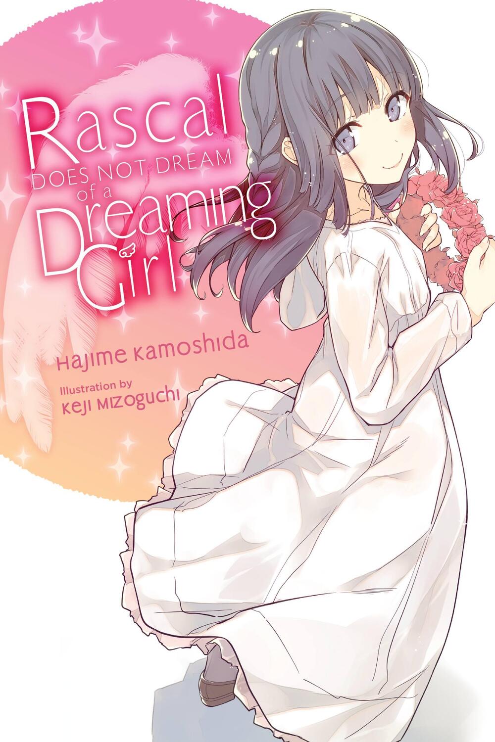 Cover: 9781975312626 | Rascal Does Not Dream of a Dreaming Girl (light novel) | Kamoshida