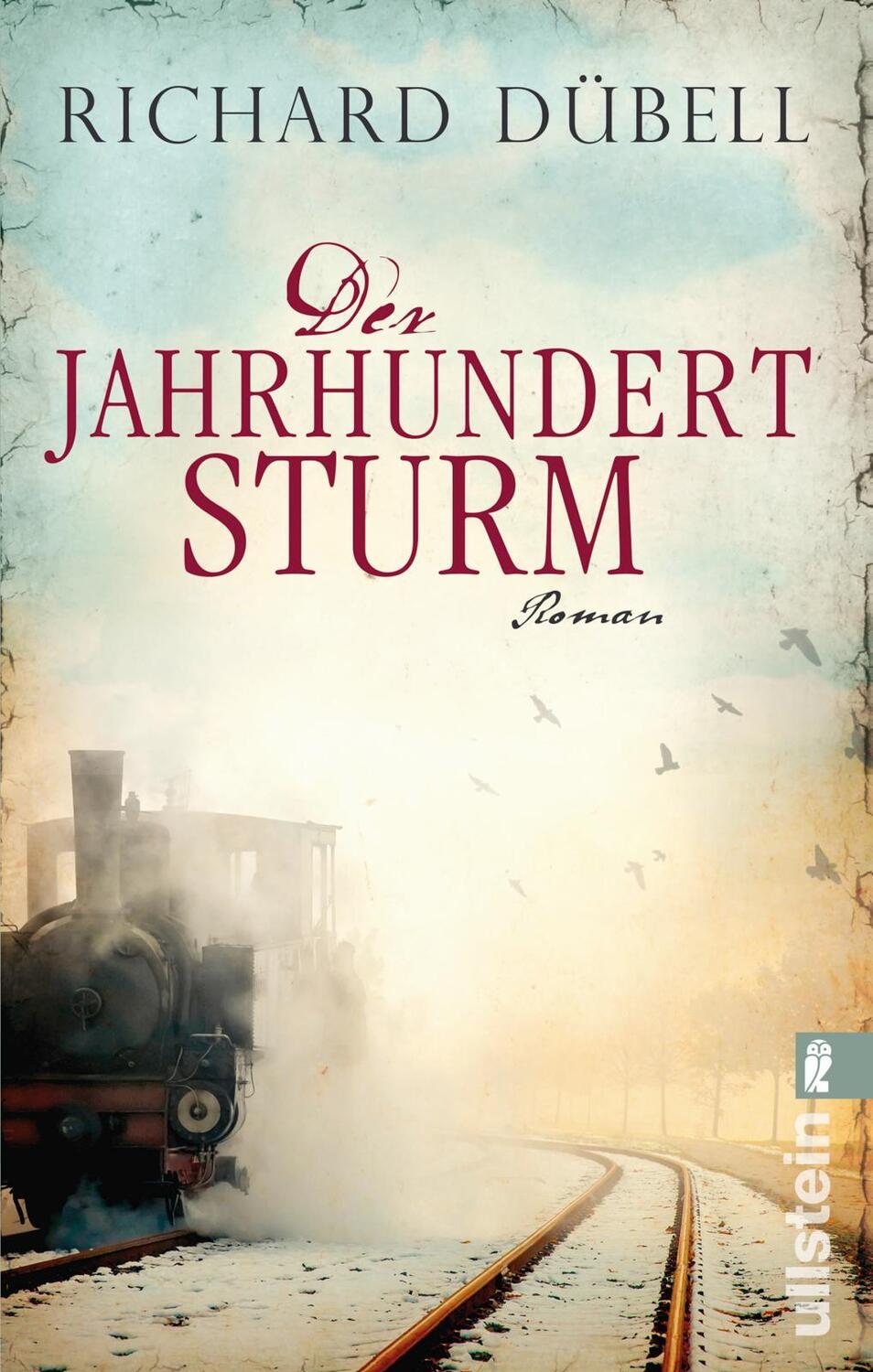 Cover: 9783548286648 | Der Jahrhundertsturm | Richard Dübell | Taschenbuch | Deutsch | 2015