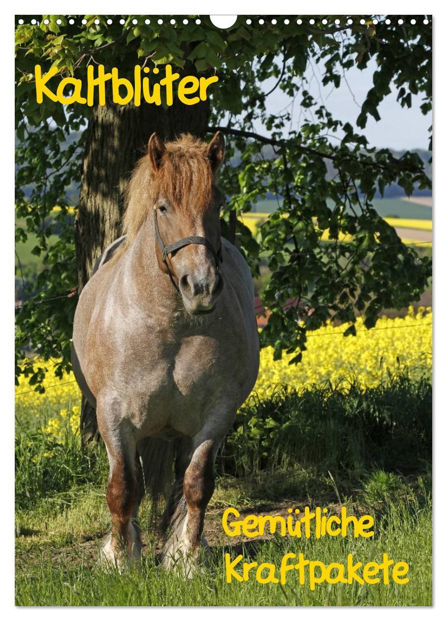 Cover: 9783675481138 | Kaltblüter (Wandkalender 2024 DIN A3 hoch), CALVENDO Monatskalender