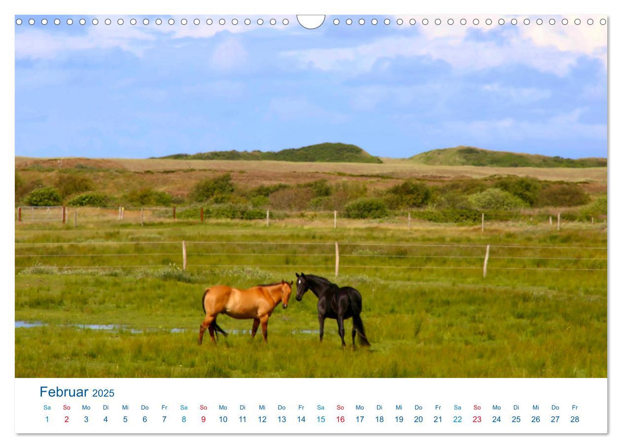 Bild: 9783457151327 | Langeoog 2025. Impressionen zwischen Hafen und Ostende...