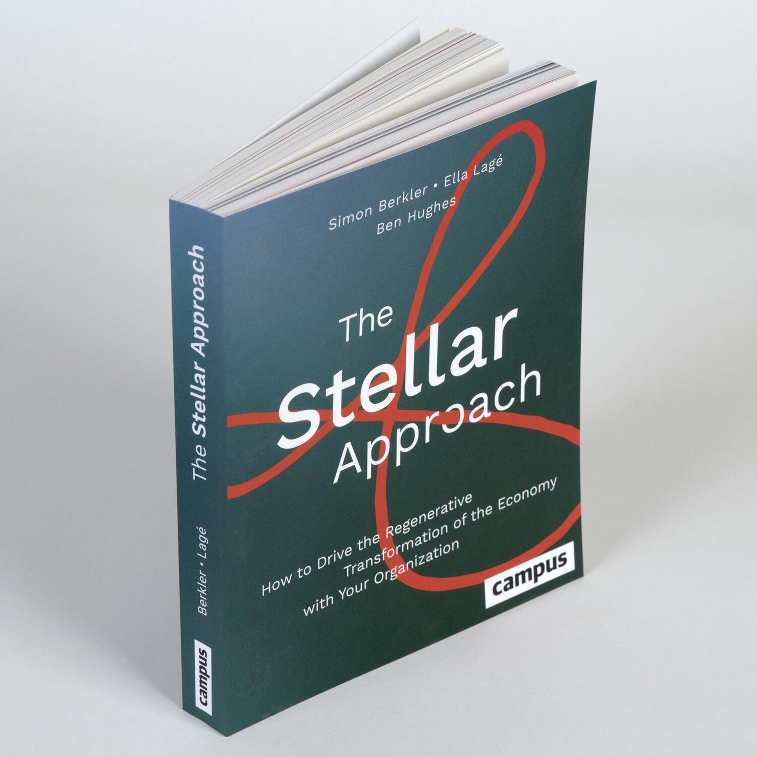 Rückseite: 9783593519593 | The Stellar-Approach | Simon Berkler (u. a.) | Taschenbuch | 270 S.