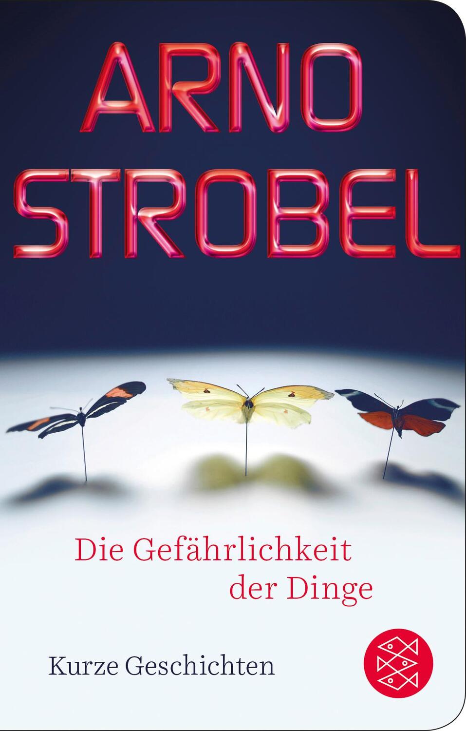 Cover: 9783596522224 | Die Gefährlichkeit der Dinge | Kurze Geschichten | Arno Strobel | Buch