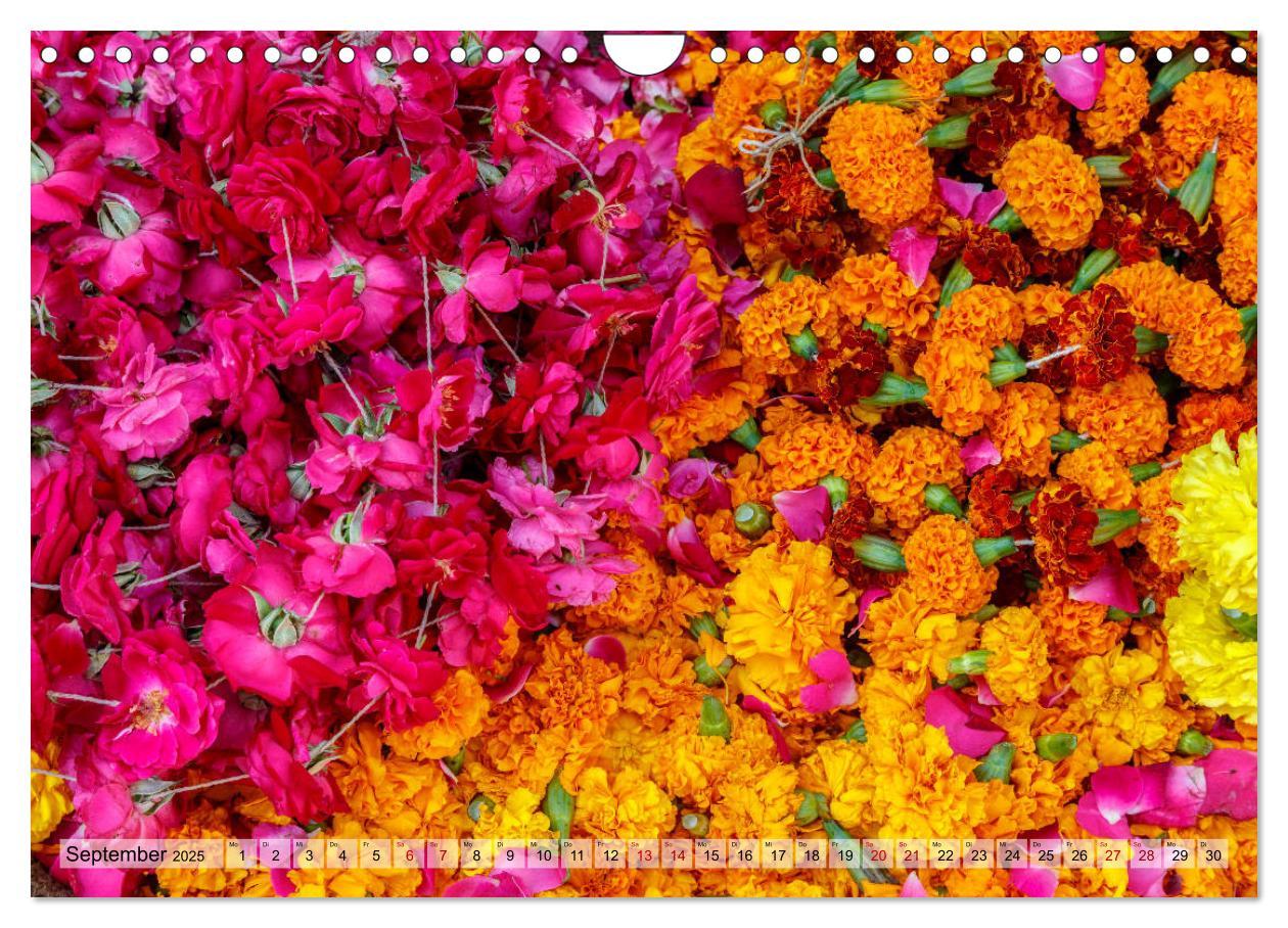 Bild: 9783435148806 | Indien - Spektakel der Farben (Wandkalender 2025 DIN A4 quer),...