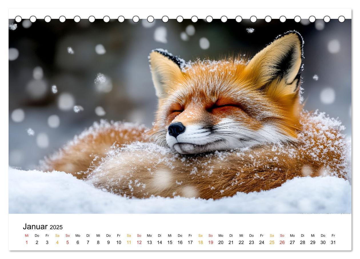 Bild: 9783457212998 | Wilde Tierwelt im Wald (Tischkalender 2025 DIN A5 quer), CALVENDO...