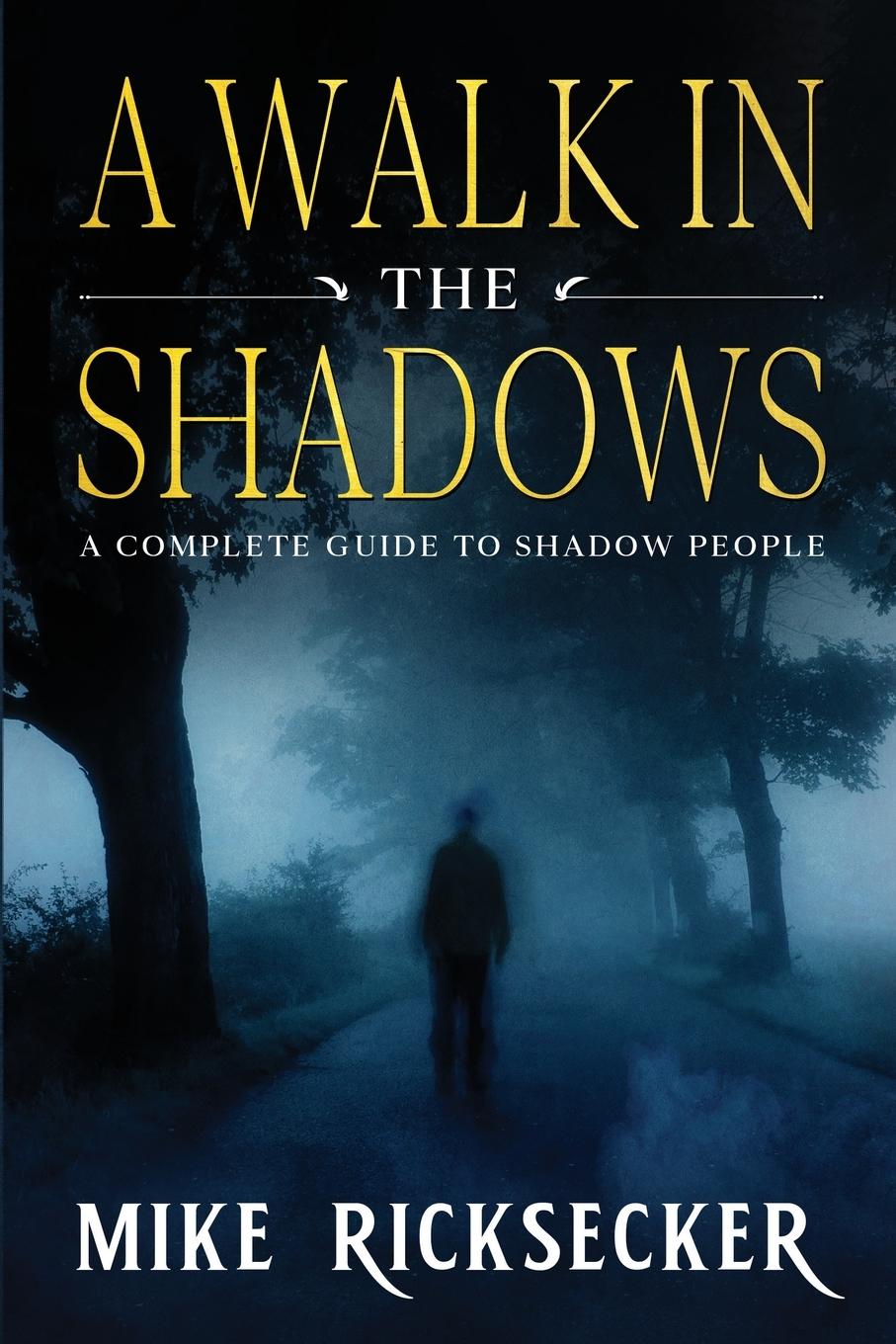 Cover: 9781733919357 | A Walk In The Shadows | A Complete Guide To Shadow People | Ricksecker