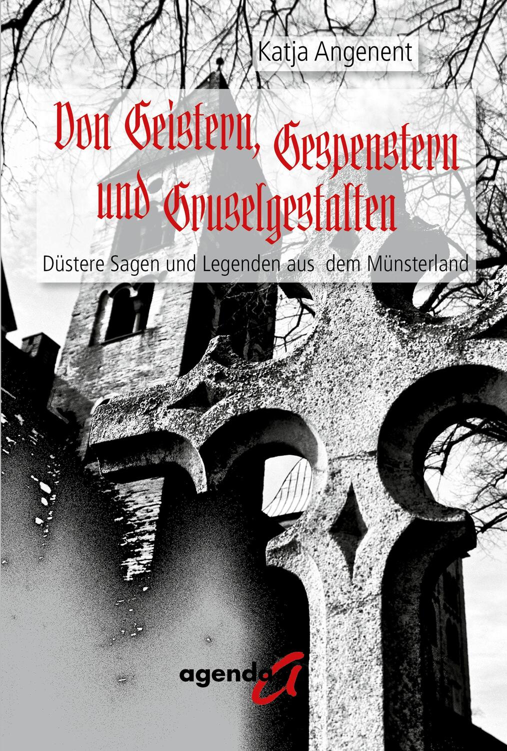Cover: 9783896887528 | Von Geistern, Gespenstern und Gruselgestalten | Katja Angenent | Buch