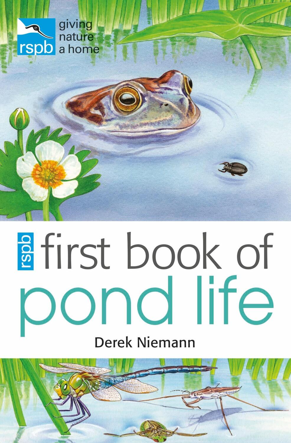 Cover: 9781408165713 | RSPB First Book Of Pond Life | Derek Niemann | Taschenbuch | Englisch