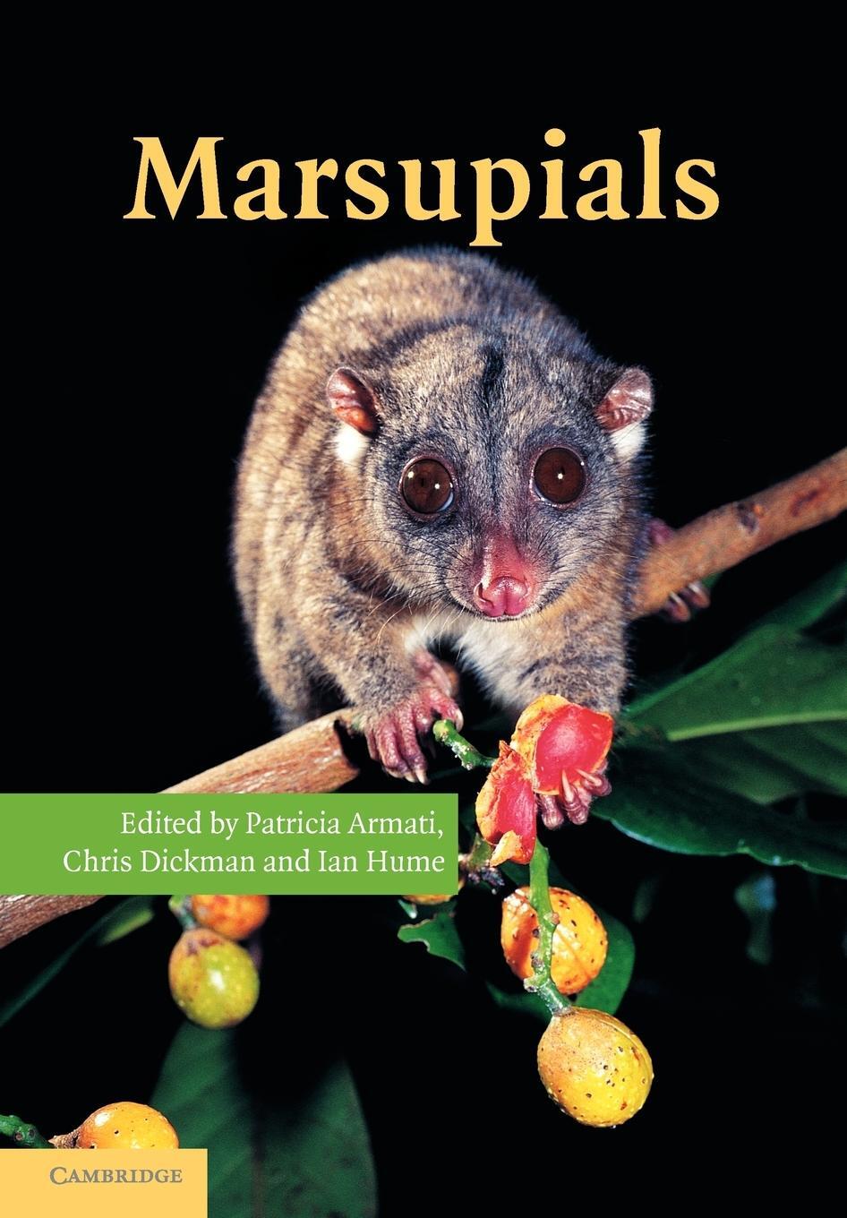 Cover: 9781107406070 | Marsupials | Ian D. Hume | Taschenbuch | Paperback | Englisch | 2012