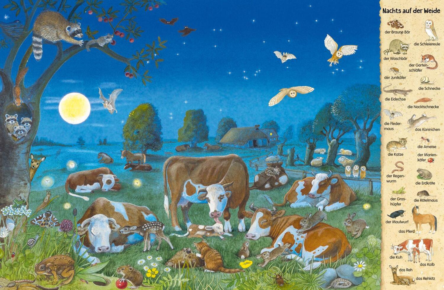 Bild: 9783480234141 | Mein erstes Wimmelbuch: Tiere in der Nacht | Buch | 16 S. | Deutsch