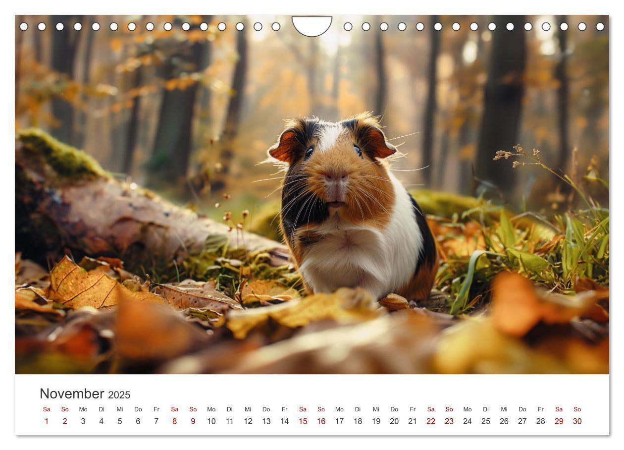 Bild: 9783383812255 | Wuschelbande - Ein Jahr voller Meerschweinchen (Wandkalender 2025...