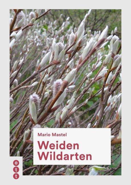 Cover: 9783722501802 | Weiden Wildarten | Mario Mastel | Buch | 2019 | Ott-Verlag