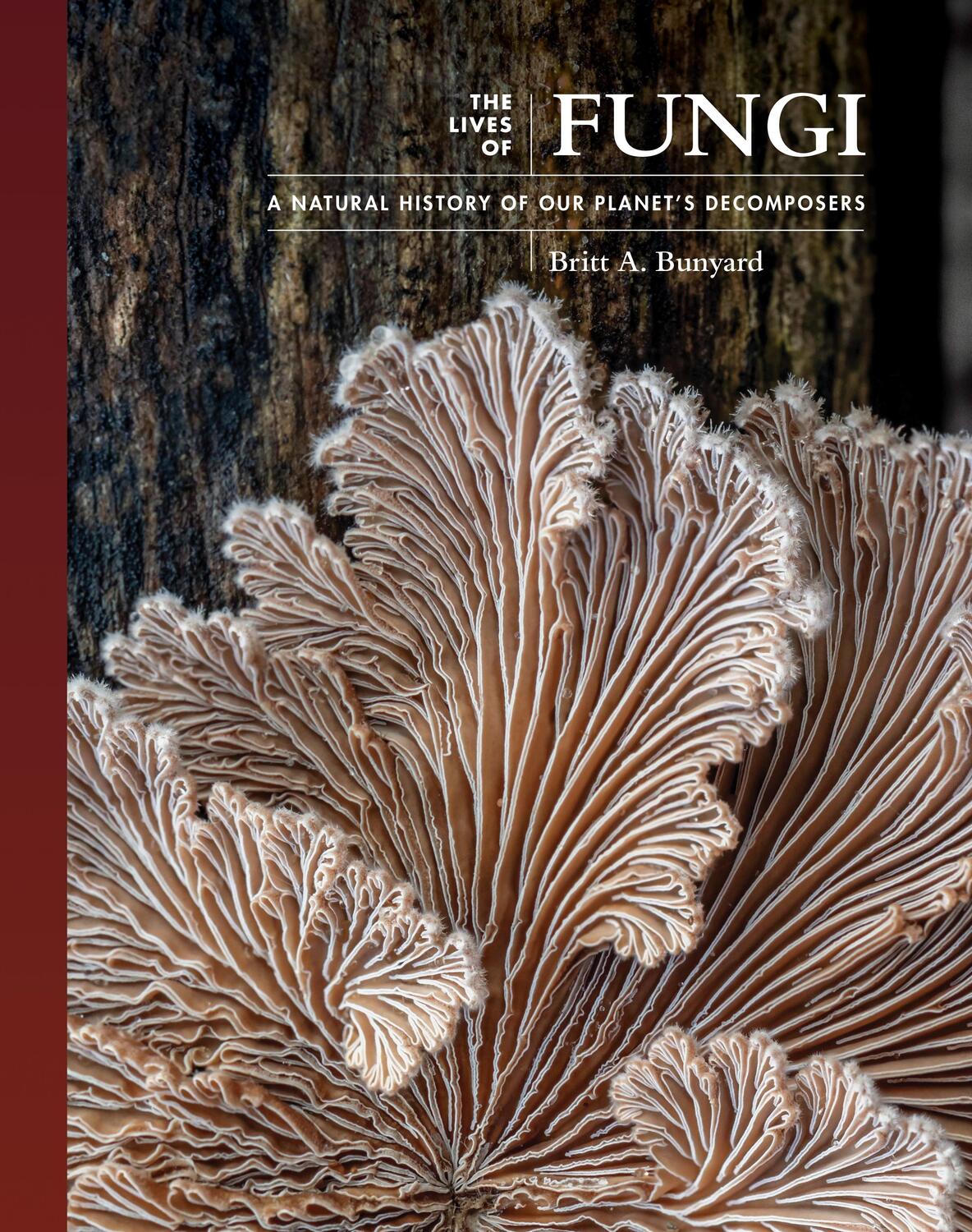 Cover: 9780691229843 | The Lives of Fungi | A Natural History of Our Planet's Decomposers