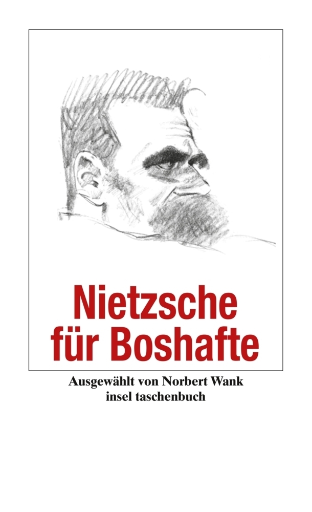 Cover: 9783458349747 | Nietzsche für Boshafte | Friedrich Nietzsche | Taschenbuch