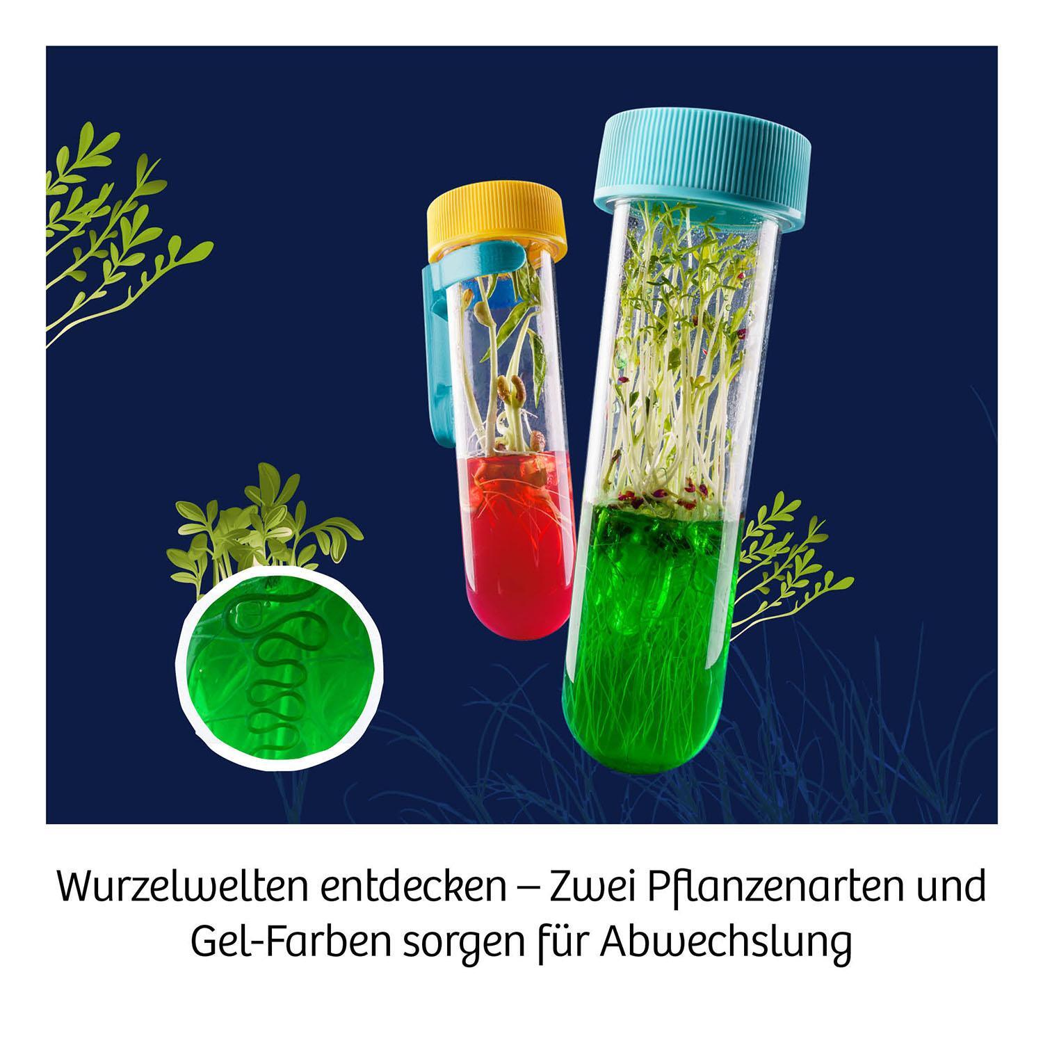 Bild: 4002051658168 | Fun Science Aqua-Gel-Pflanzen | Experimentierkasten | Spiel | 658168