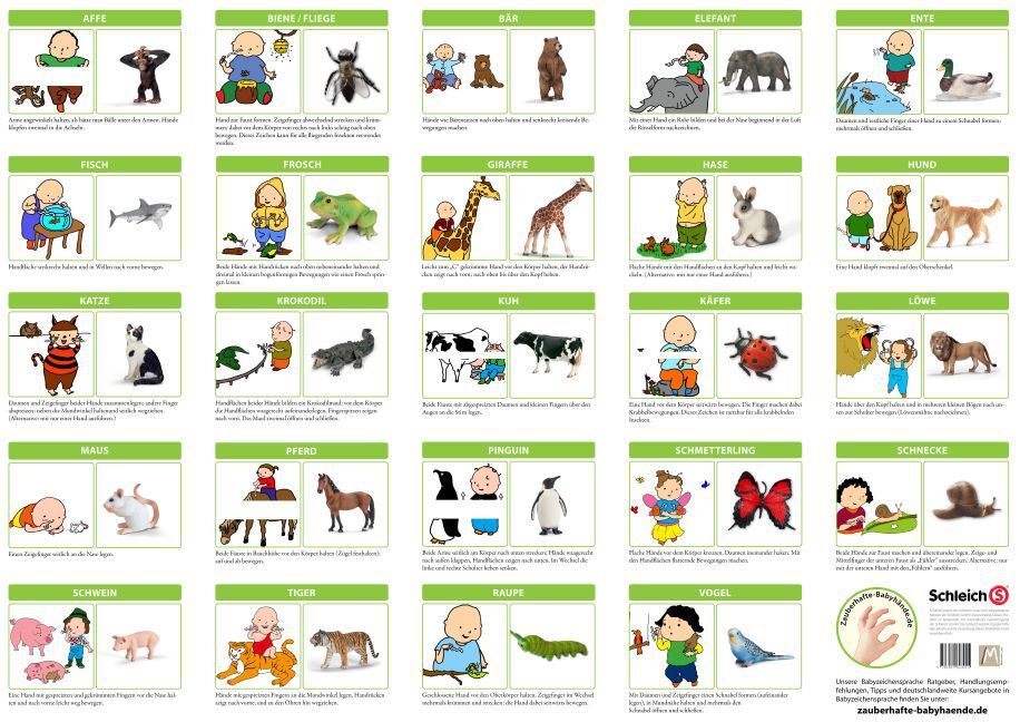 Bild: 9783981643015 | Babyzeichen-Gebärden-Poster - Zauberhafte Babyhände entdecken Tiere