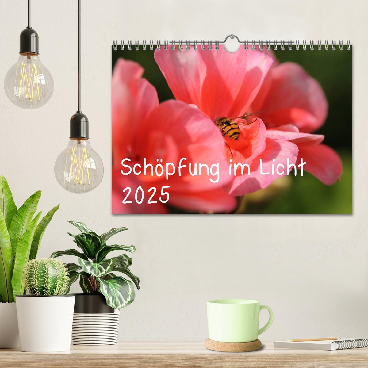 Bild: 9783435768240 | Schöpfung im Licht (Wandkalender 2025 DIN A4 quer), CALVENDO...