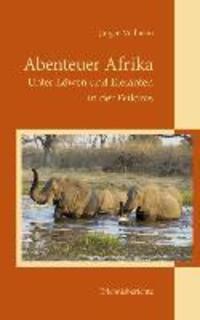 Cover: 9783732248698 | Abenteuer Afrika | Unter Löwen und Elefanten in der Wildnis | Vollheim