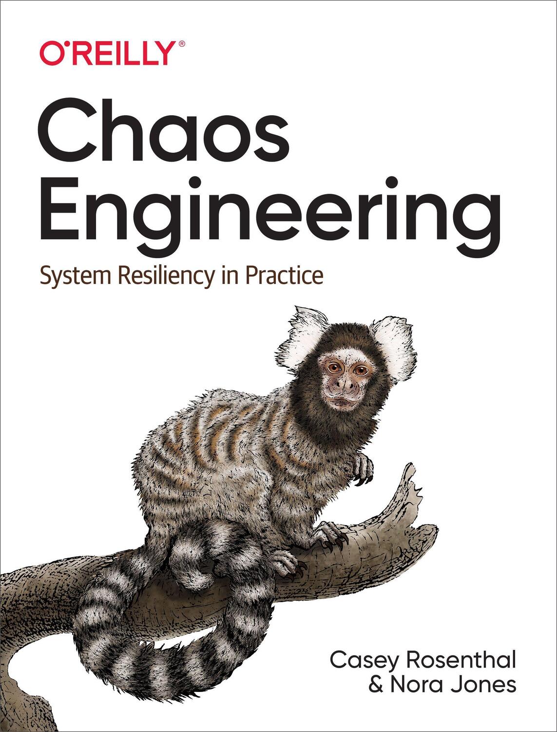 Cover: 9781492043867 | Chaos Engineering | System Resiliency in Practice | Rosenthal (u. a.)
