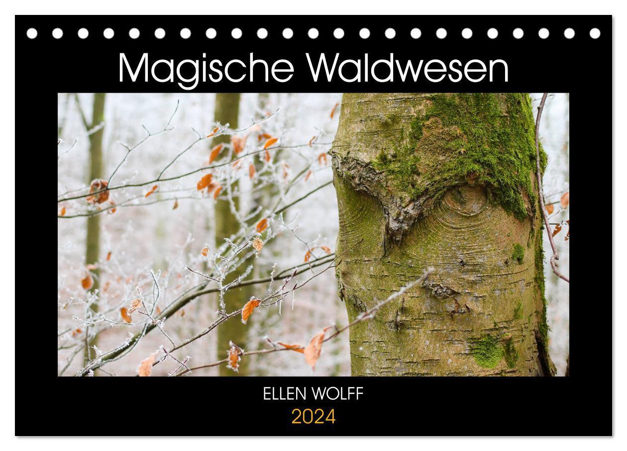 Cover: 9783675836846 | Magische Waldwesen (Tischkalender 2024 DIN A5 quer), CALVENDO...