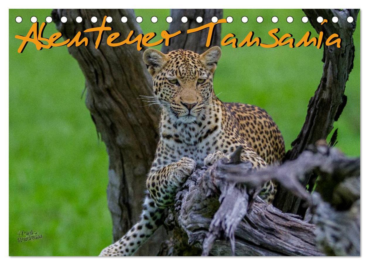 Cover: 9783383600432 | Abenteuer Tansania, Afrika (Tischkalender 2024 DIN A5 quer),...