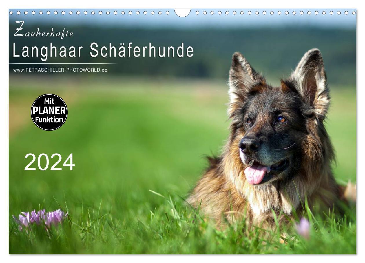 Cover: 9783383259395 | Zauberhafte Langhaar Schäferhunde (Wandkalender 2024 DIN A3 quer),...