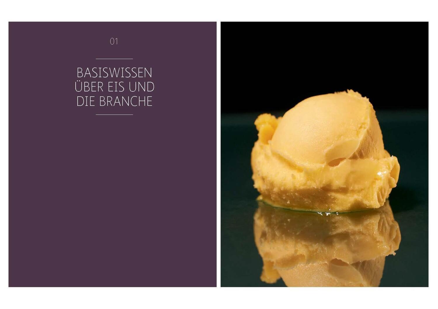 Bild: 9783985410187 | Eismanufaktur | Basics, Rezepturen, Marketing | Uwe Koch | Buch | 2017