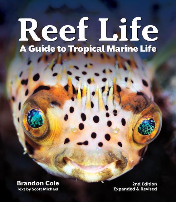 Cover: 9780228102946 | Reef Life | A Guide to Tropical Marine Life | Michael Scott | Buch